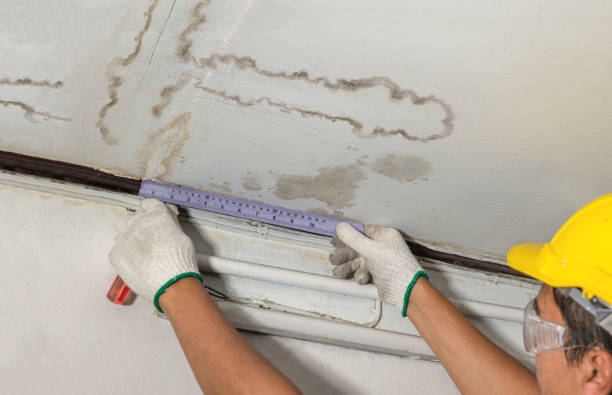 Reliable Water Damage contractor in D Hanis, TX by Water Damage Irwin